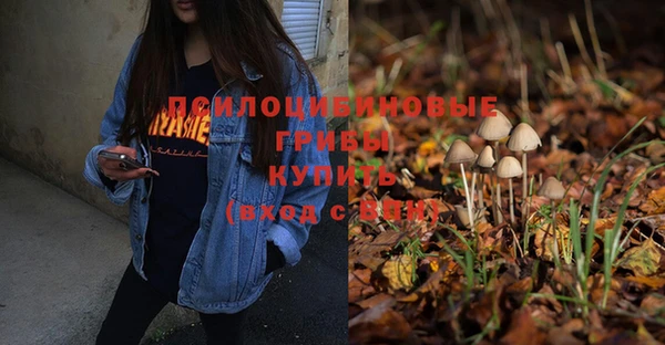 трава Абинск